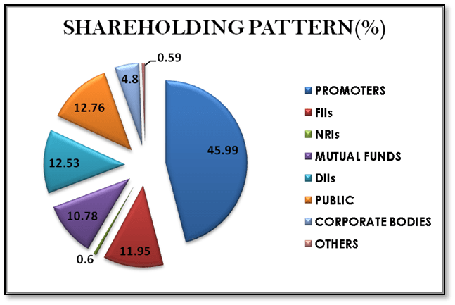Exide Share Holding Pattern